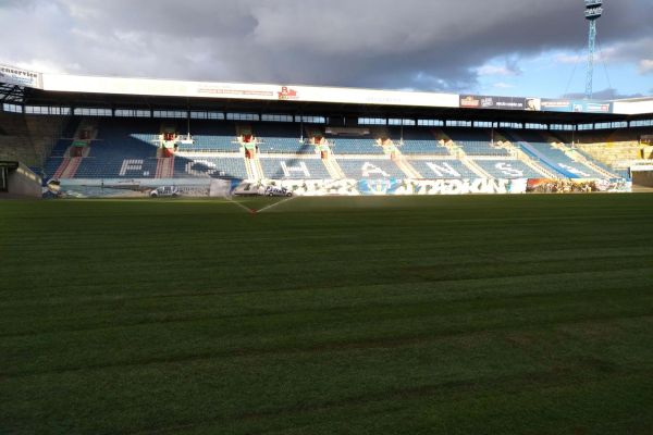 Grüner Rasen im Ostseestadion